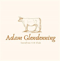 Adam Glendenning - Beef to Process
