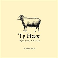 Ty Horn