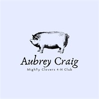 Aubrey Craig - Swine to Process