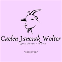 Caelen Janesak Wolter