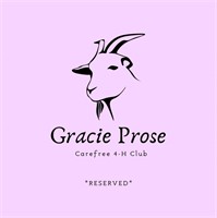 Gracie Prose