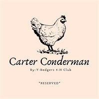 Carter Conderman
