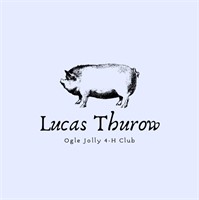 Lucas Thurow - Swine to Process