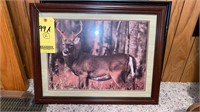 (2) Framed Deer Prints