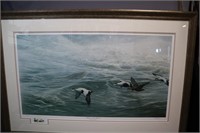 Eiders on the Storm by Pierre Leduc limited print