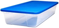 Clear Storage Bin with Lid, Large-41 Quart, Blue