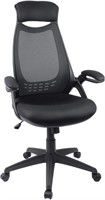 Hylone Ergonomic Office Desk Chair, Black