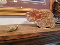 651- Polished Petrified Wood And Polished Rock