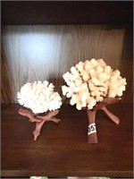 MCM Teak stands with real coral ~ Set of 2