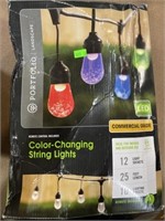 Portfolio color changing string light LED 25 feet