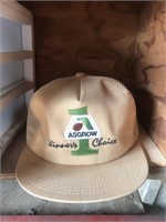 Vintage asgrow winners choice hat