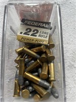 Assortment .22 (2 Boxes - 128 Rounds)