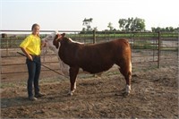 2021 Morrill Co. 4-H & FFA Livestock Auction
