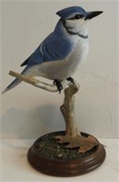 Lot #1836 - Hand carved Blue Jay on habitat base