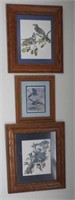 Lot #1902 - (3) framed prints of blue birds