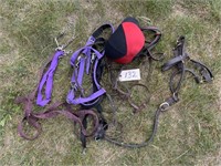 Halter parts & Espon 6 7/8 show helmet