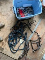 Tote of leads, 2 good leather halters