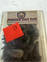 Prehistoric Shark Teeth