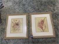 Framed Ginger & Protea Floral Pictures