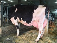 Morsan Miss Tique EX-93 3E