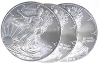 2010 U.S. $1 Silver Eagle Bullion Coins (3)