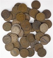 Indian Cents (56)