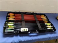 Mostly New Arrows with Case