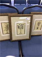 Palm triptych