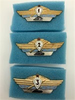 Russian Combined Arms Badges