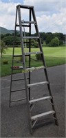 Aluminum 8ft Ladder