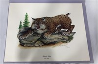 “Kentucky Wildcat” by Mike Reynolds print 22” x17"