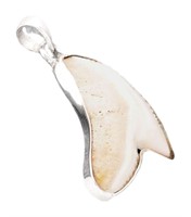 Genuine Shark Tooth Pendant
