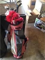 set of golf clubs in bag