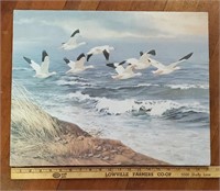 Sea Gull Print
