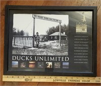 Ducks Unlimited Print