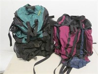 2 Nice Backpacks