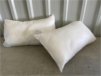 2 Pillow Forms 12"x20"