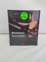 Resistance Band Set With Accessories