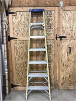 8 foot Werner Fiberglass step ladder