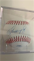 Ken Griffey Jr autographed baseball. Note: this