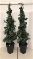 (2) mini Christmas trees with white lights (not