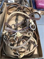 BRIDLES, ONE WITH CLASSIC BIT