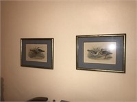 Vintage Framed Bird Prints