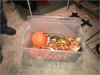 Halloween Lot + Tote with Lid