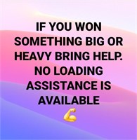 BRING HELP NO LOADING ASSISTANCE IS AVAILABLE