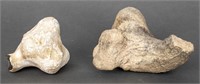 Fossilized Fossil Bone Specimens, 2