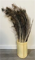 Peacock & Pheasant Feathers