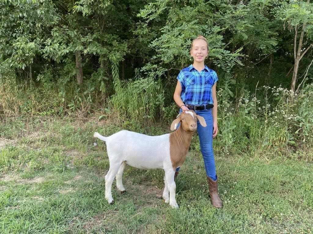 Warrick County Livestock Auction 2021