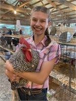 Maggie Barr - Poultry