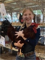 Olivia Barr - Poultry